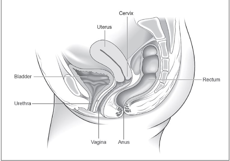 Pelvic organ prolapse