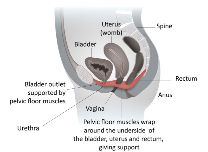 Care of a third- or fourth-degree tear that occurred during childbirth